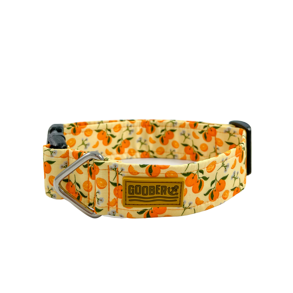 dog and cat collar with oranges print