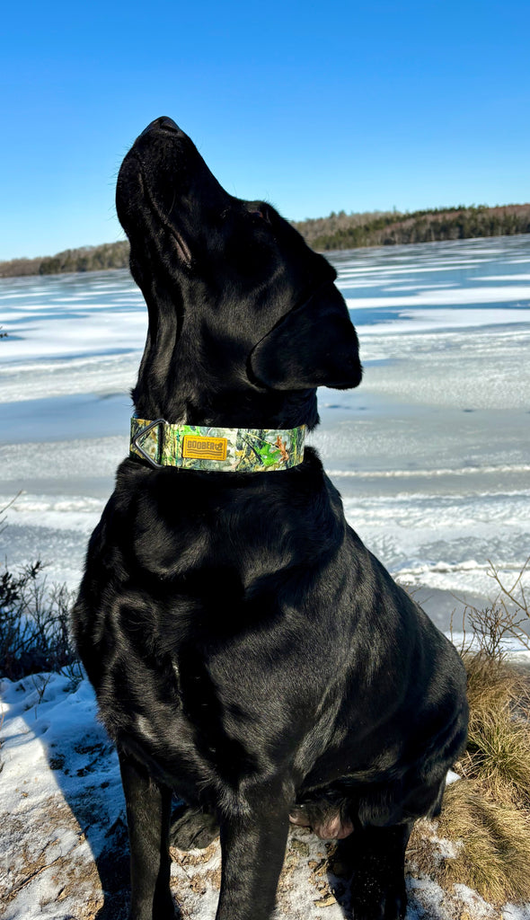 Canadian Dog Collar Company