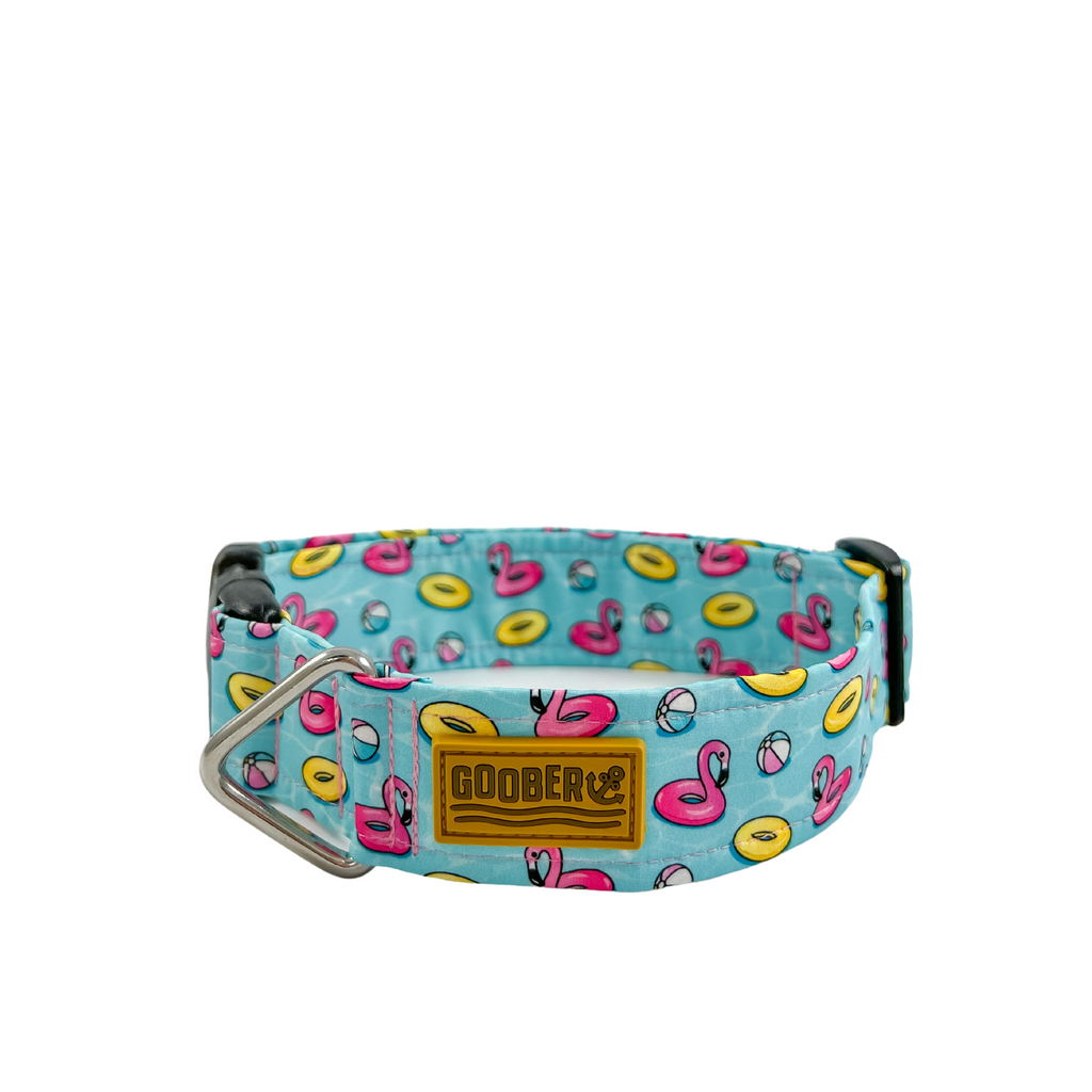 dog and cat collar with pool floatie print